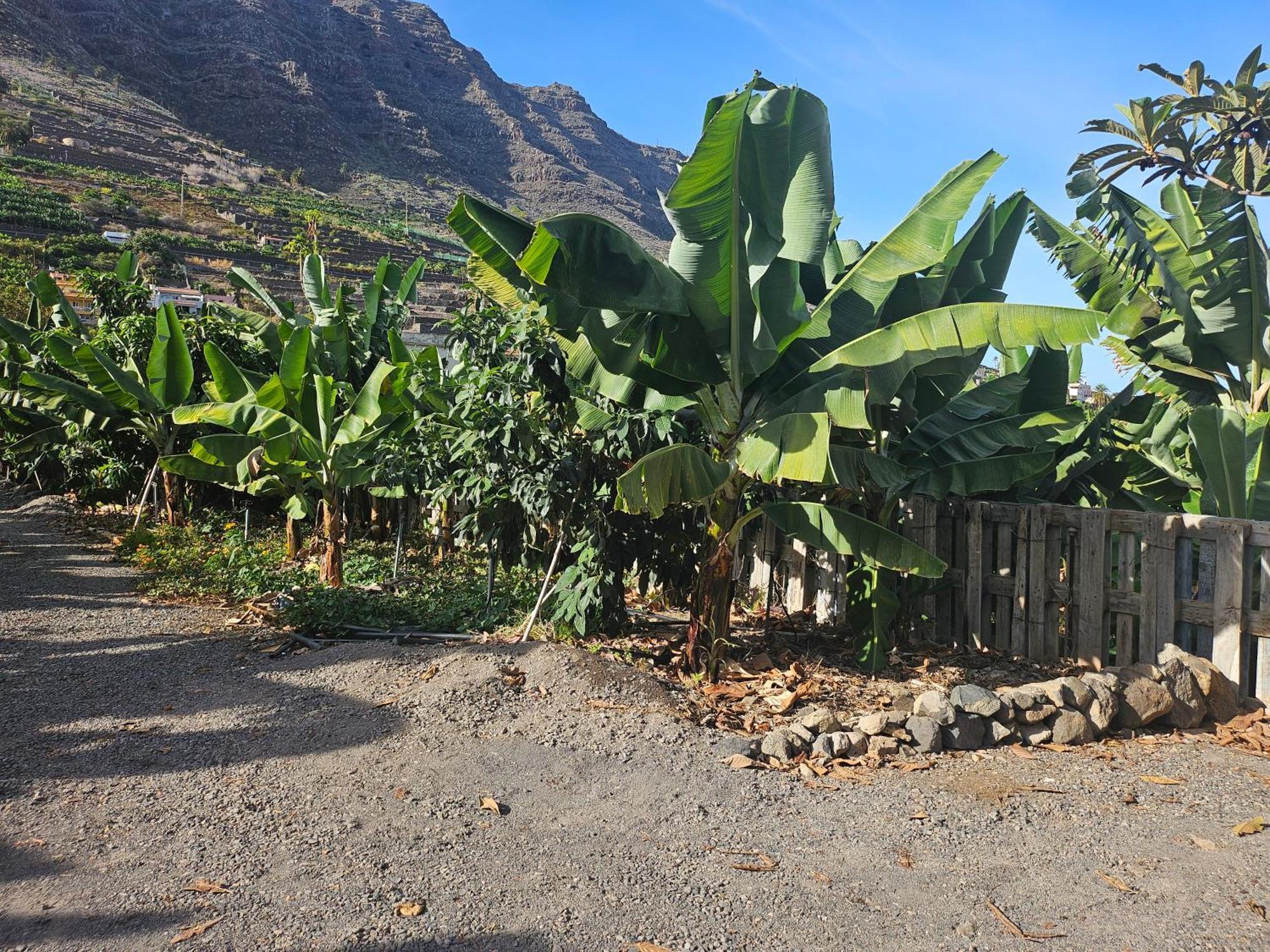 Casa Erika Villa Hermigua Ngoại thất bức ảnh